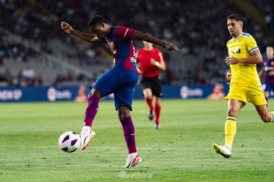 提供借鉴 提供借鉴